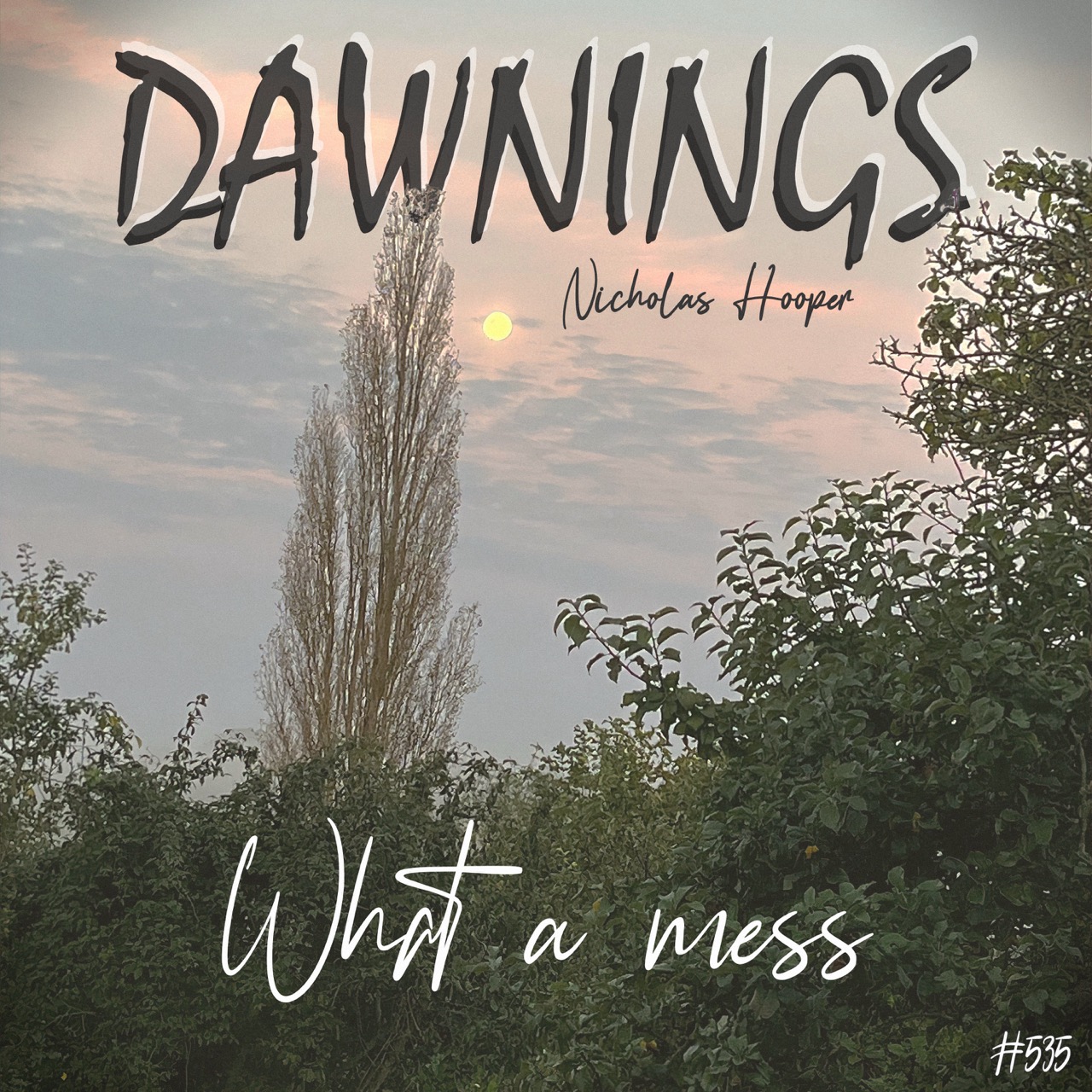 Featured image for “What a mess”
