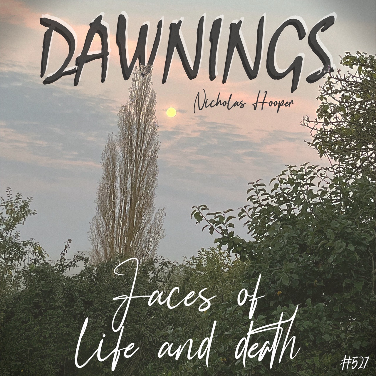 Featured image for “Faces of life and death”