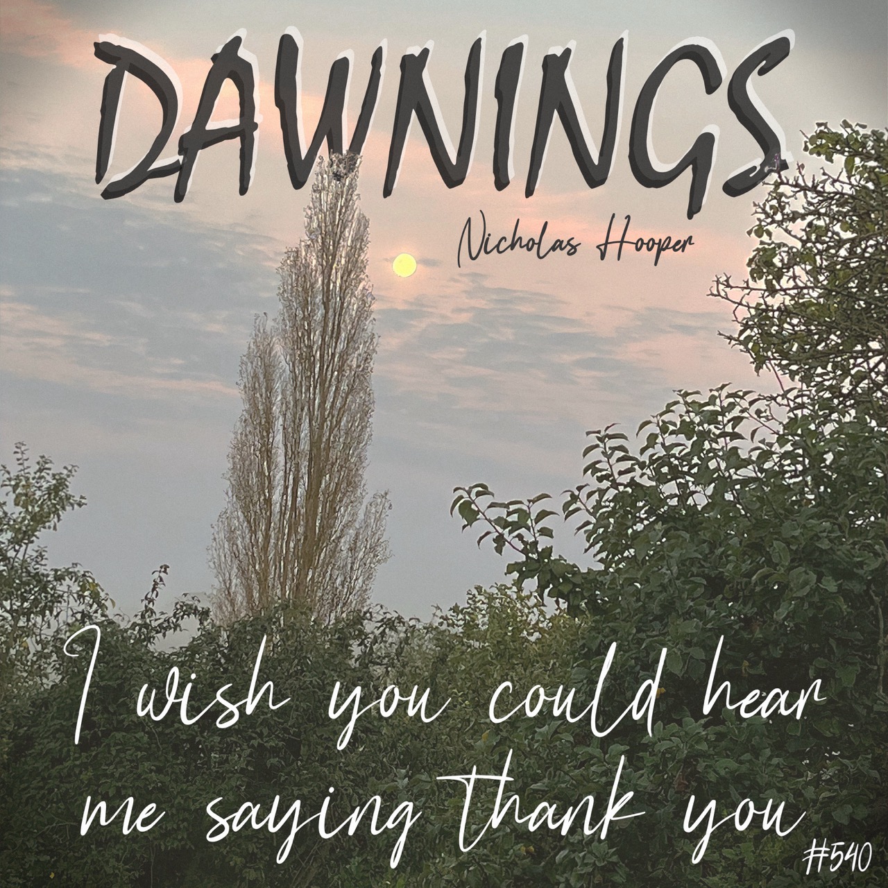 Featured image for “I wish you could hear me saying thank you”
