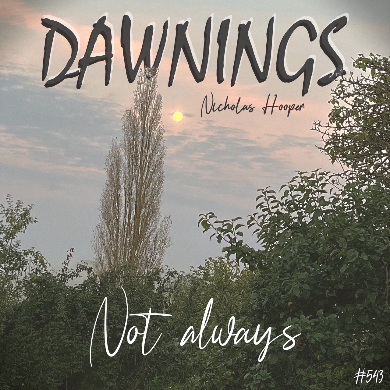 Featured image for “Not always”