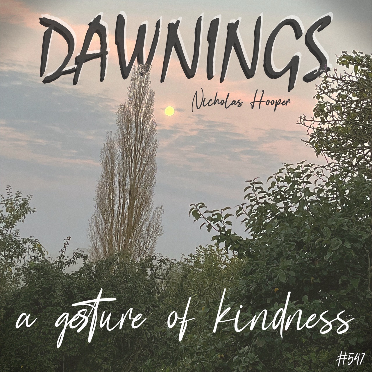 Featured image for “a gesture of kindness”