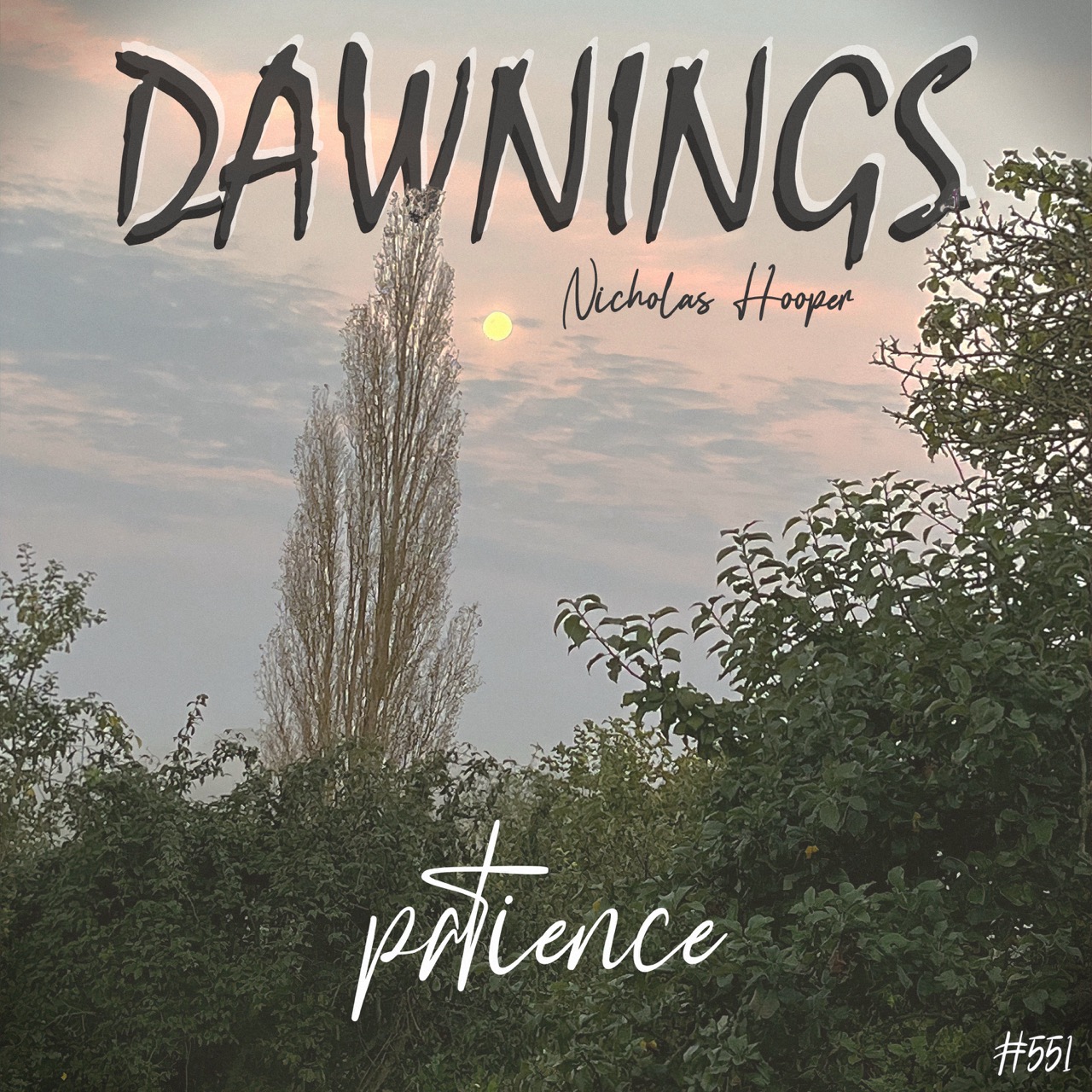 Featured image for “patience”