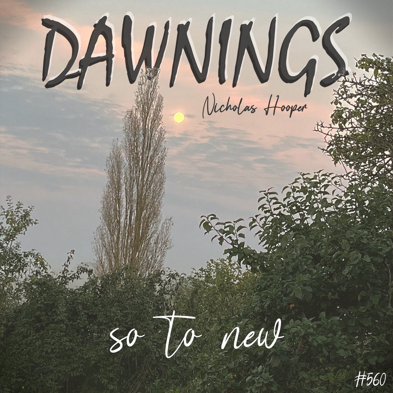 Featured image for “so to new”