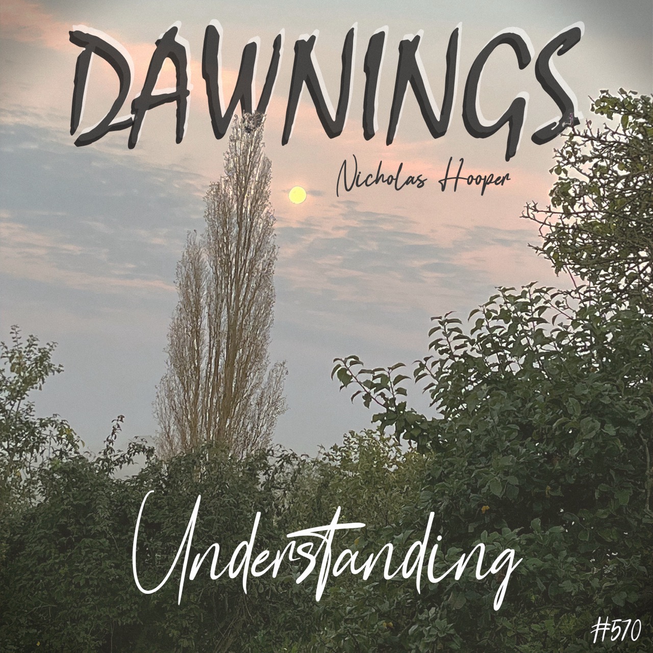 Featured image for “Understanding”