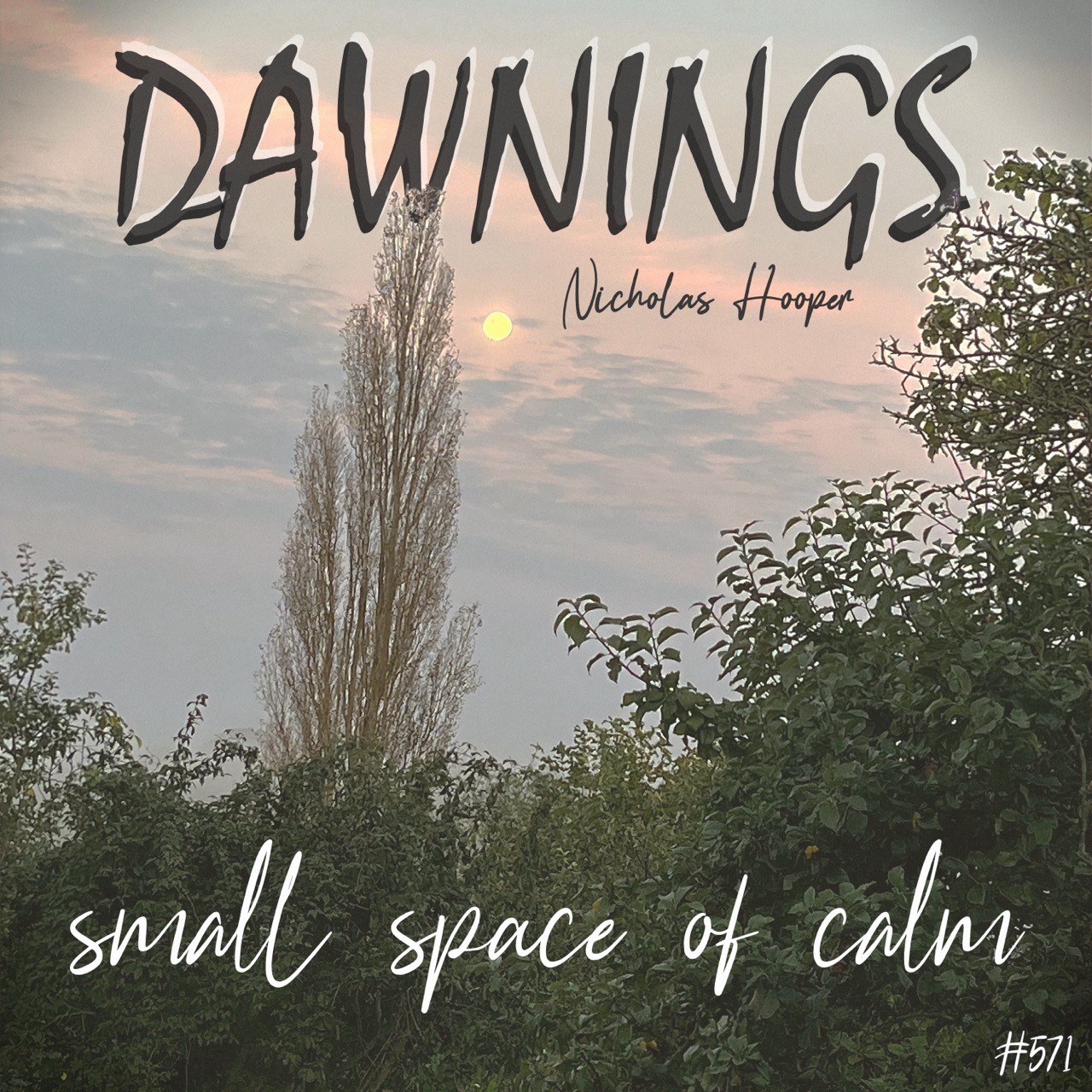 Featured image for “small space of calm”