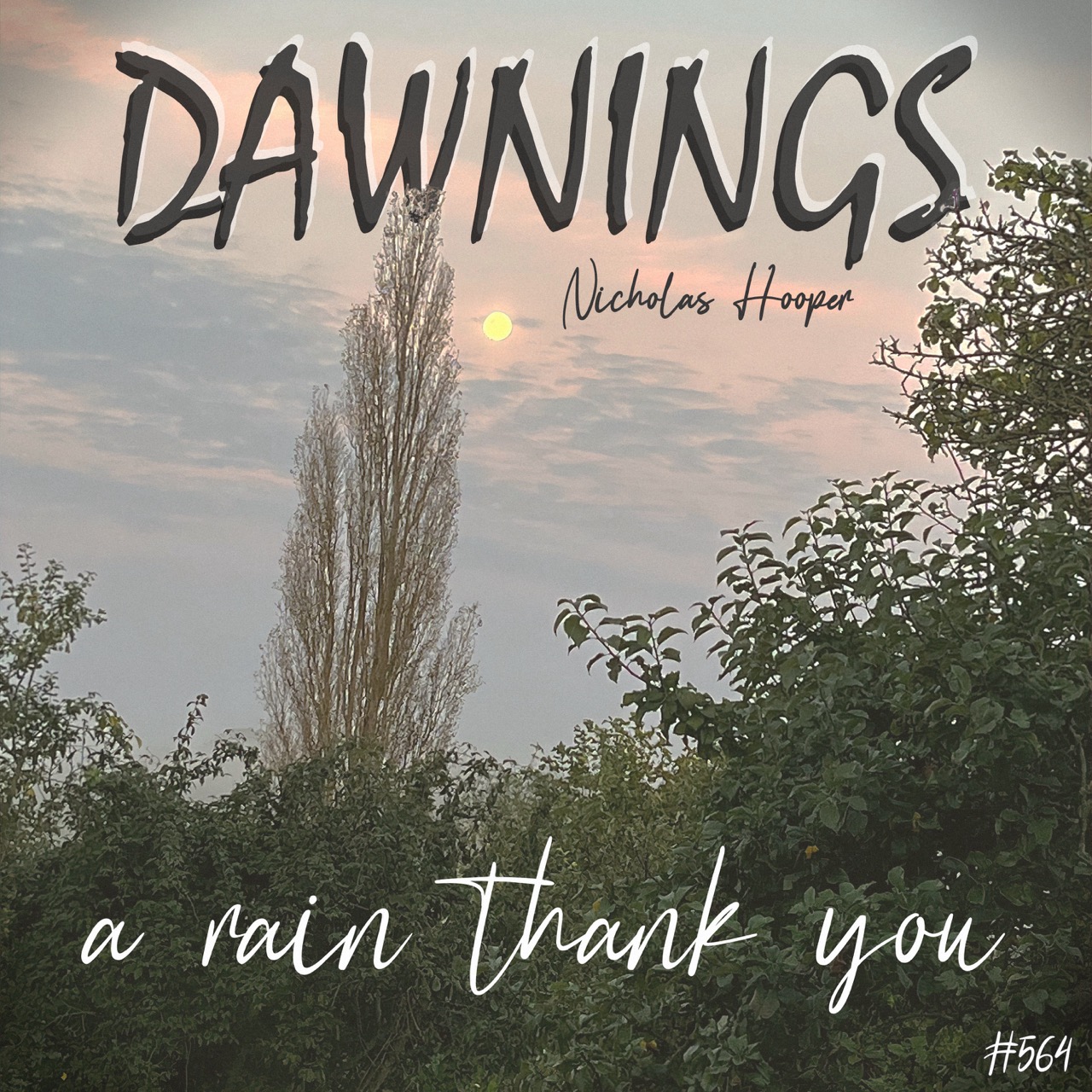 Featured image for “a rain thank you”