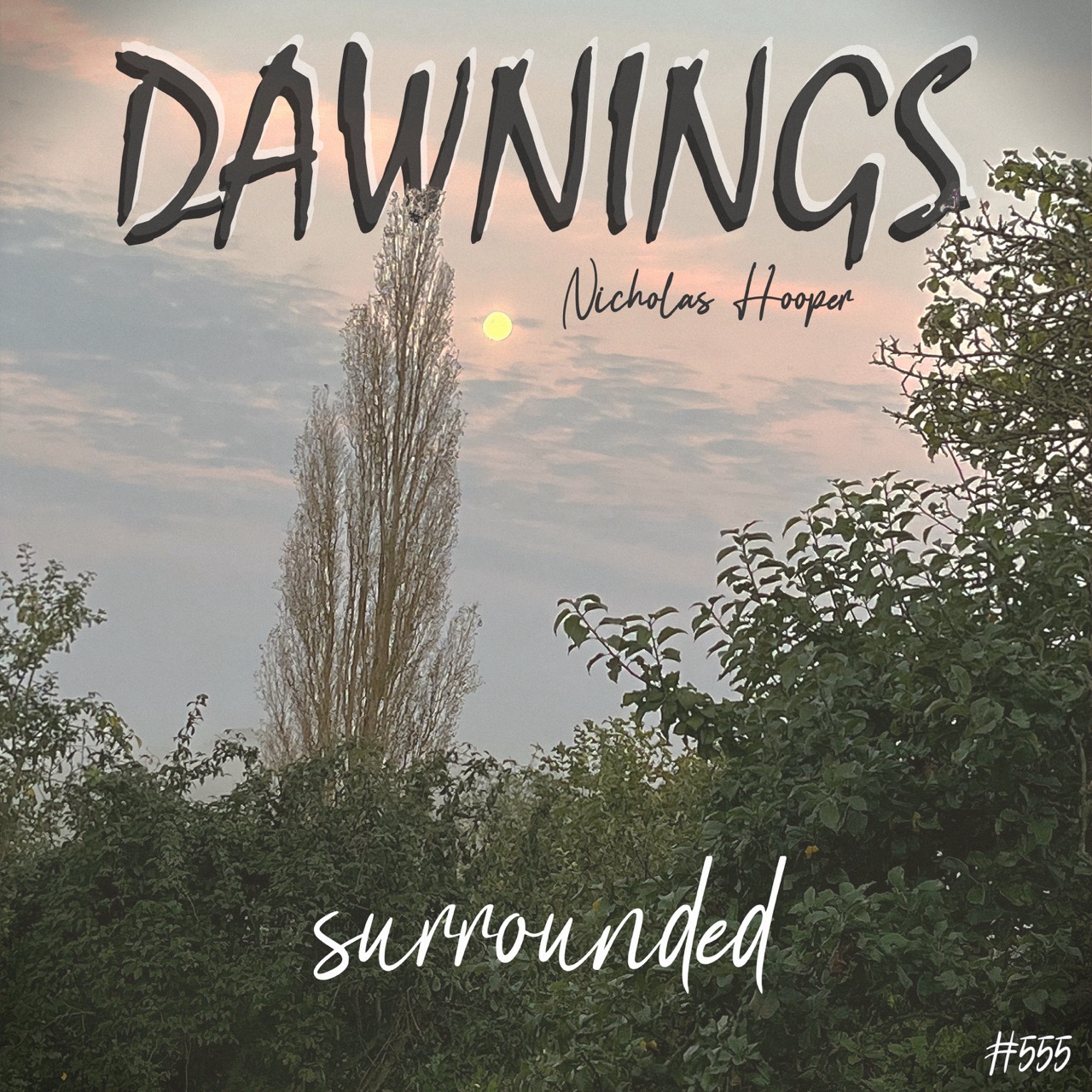 Featured image for “surrounded”