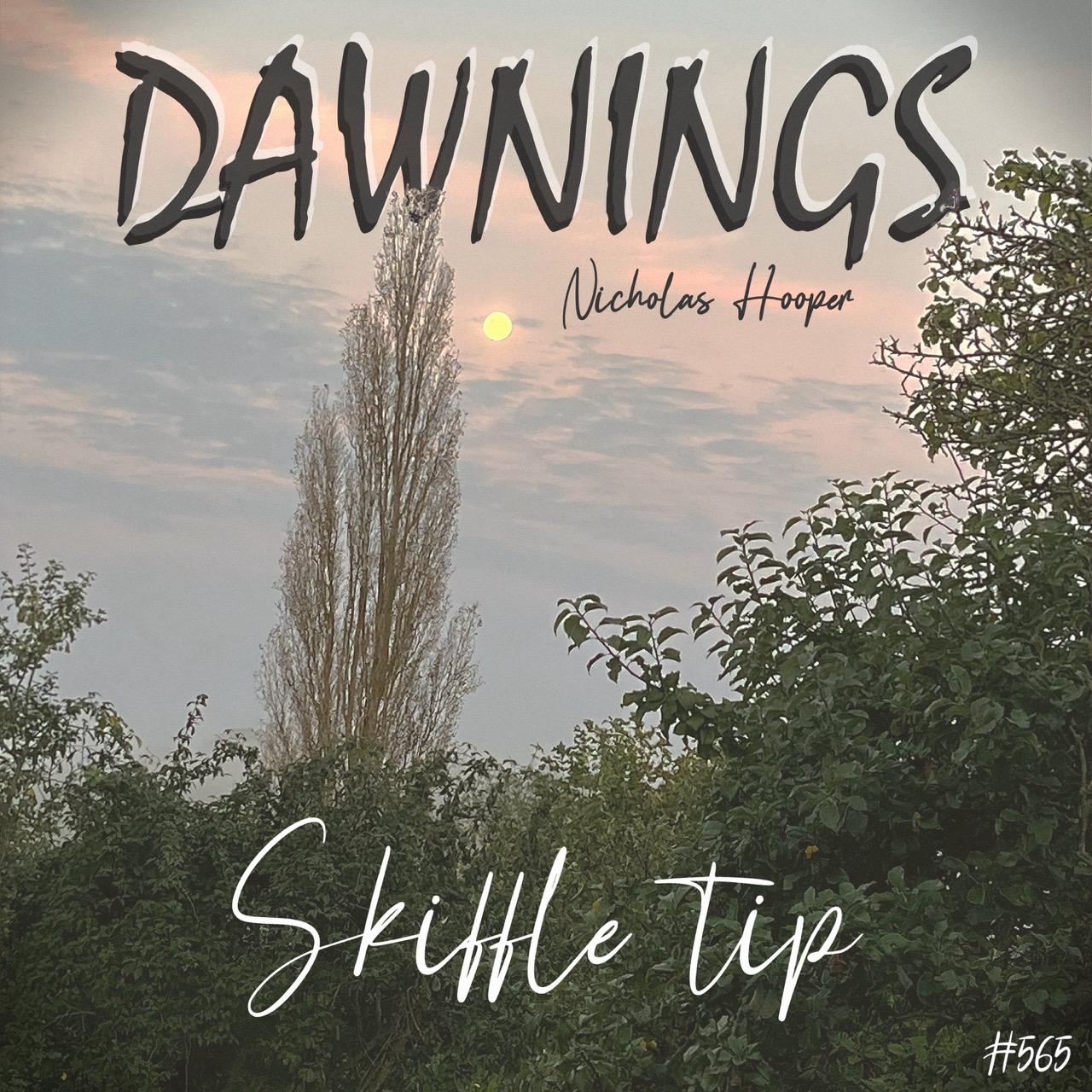 Featured image for “Skiffle tip”