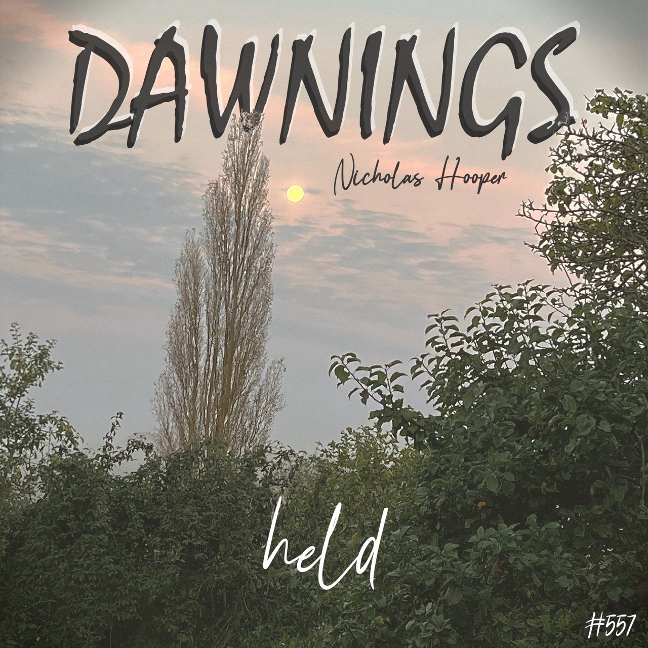 Featured image for “held”
