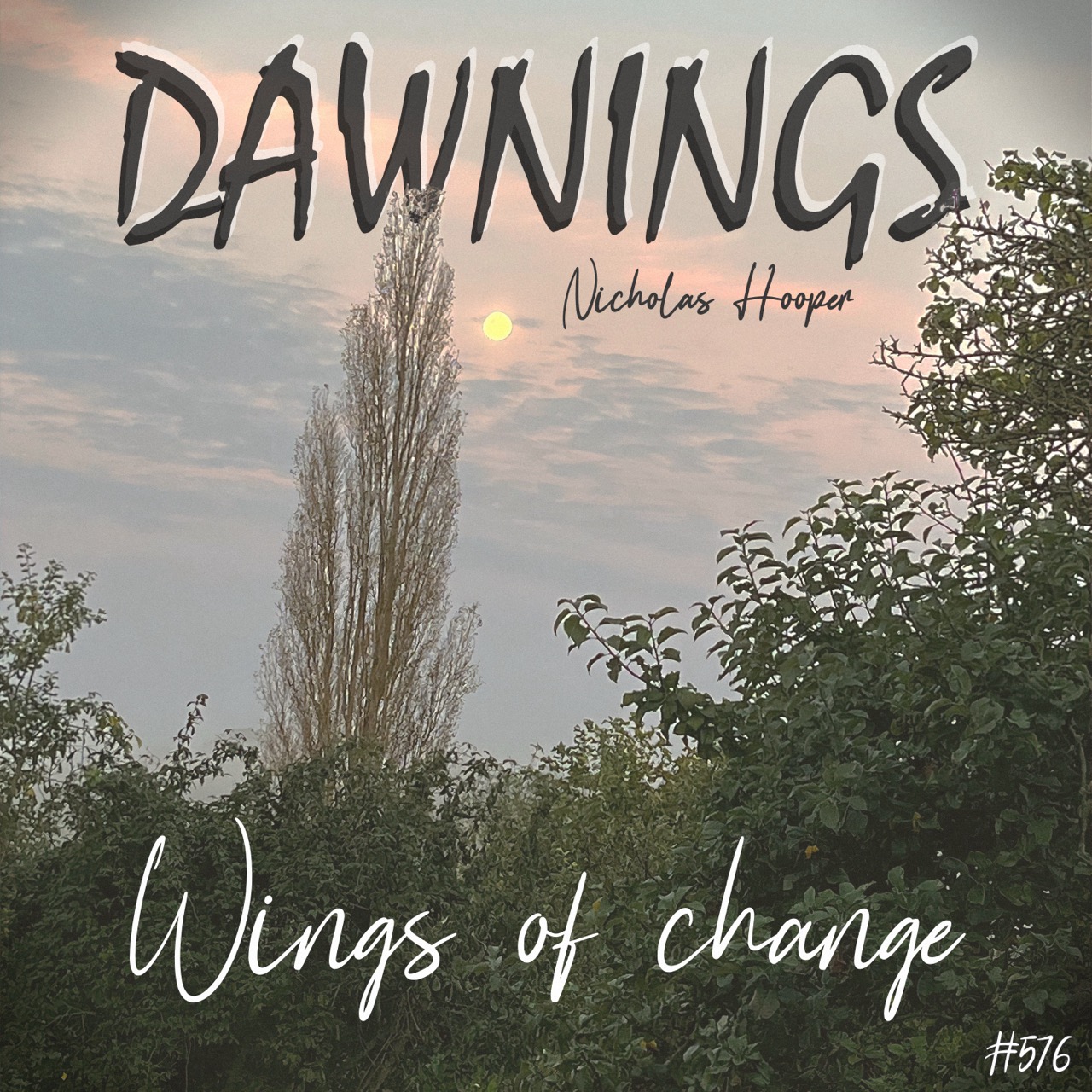 Featured image for “Wings of change”