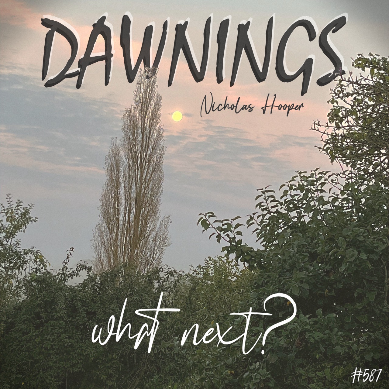 Featured image for “what next?”