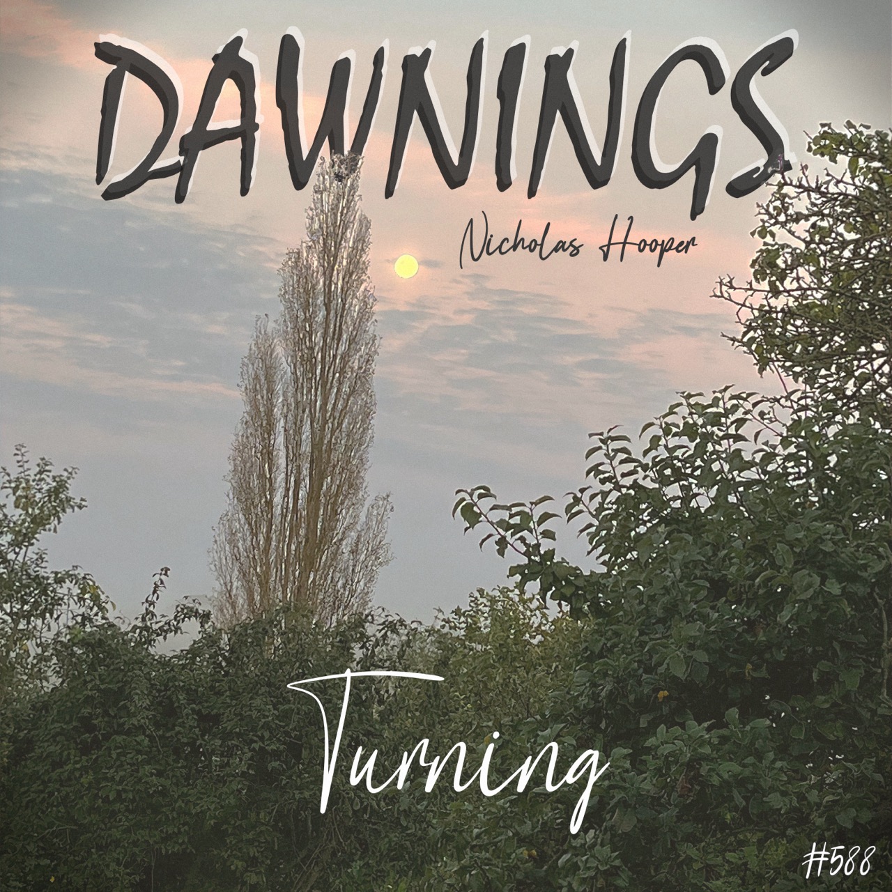 Featured image for “Turning”