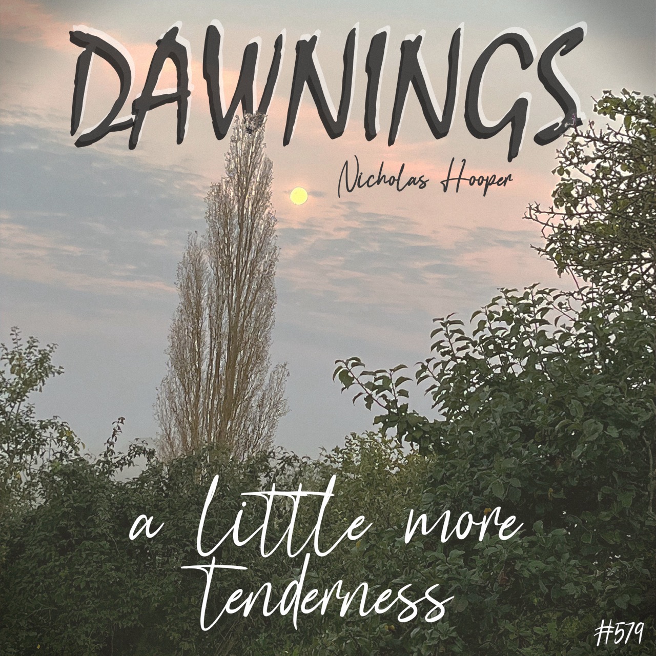 Featured image for “a little more tenderness”