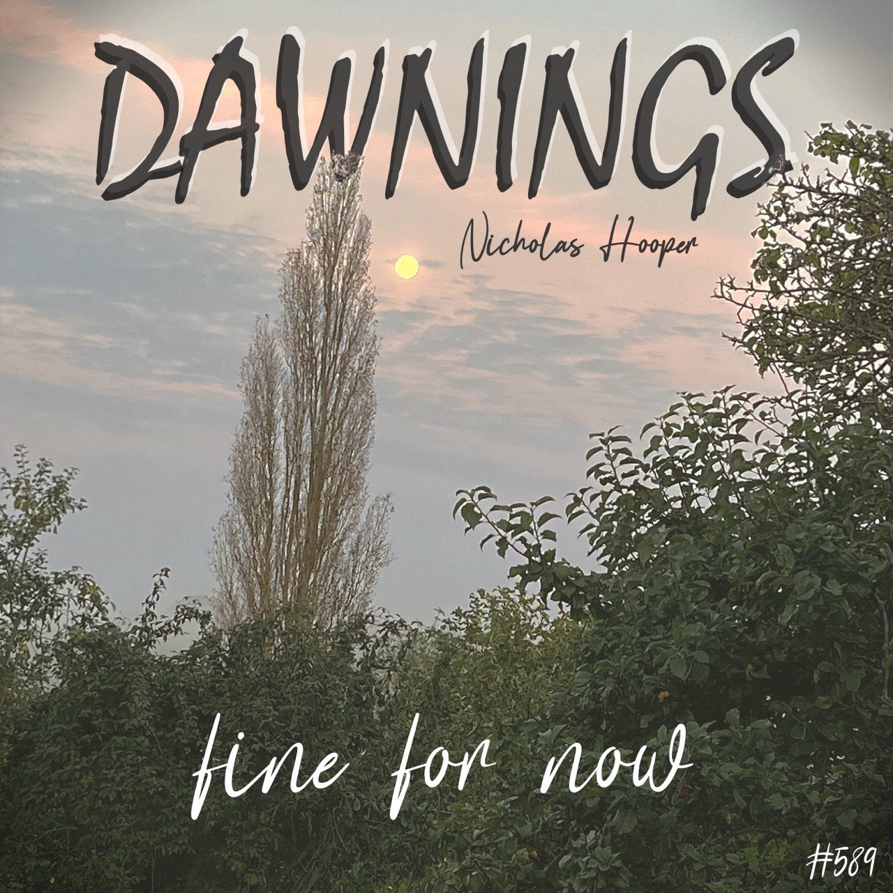 Featured image for “fine for now”