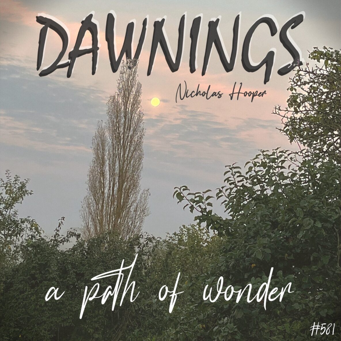 a path of wonder
