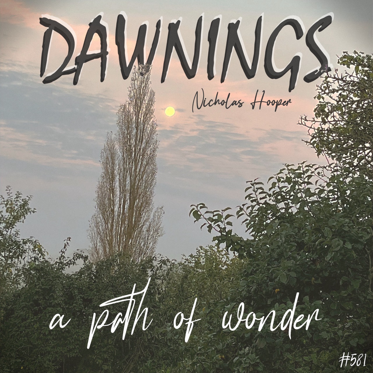 Featured image for “a path of wonder”