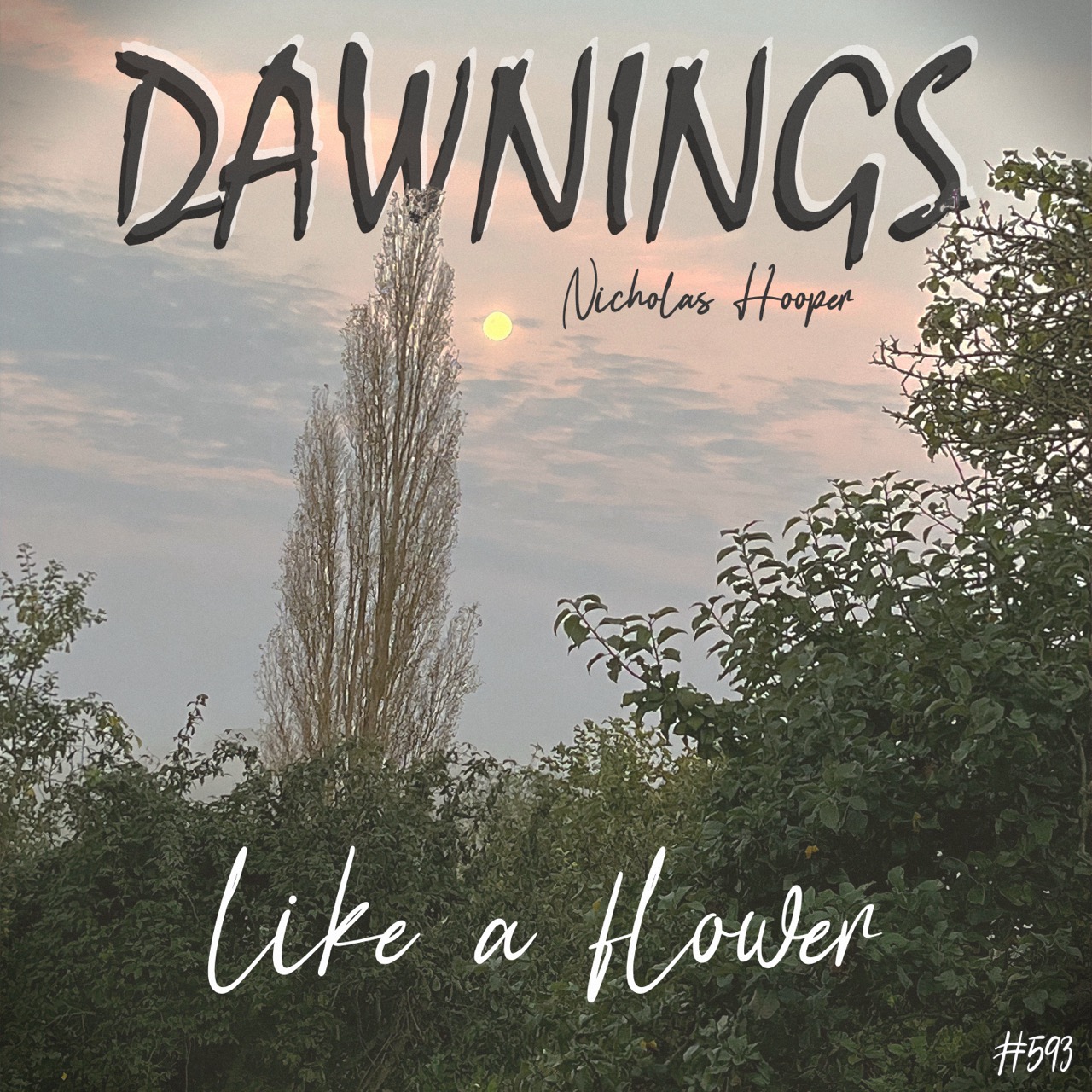 Featured image for “like a flower”
