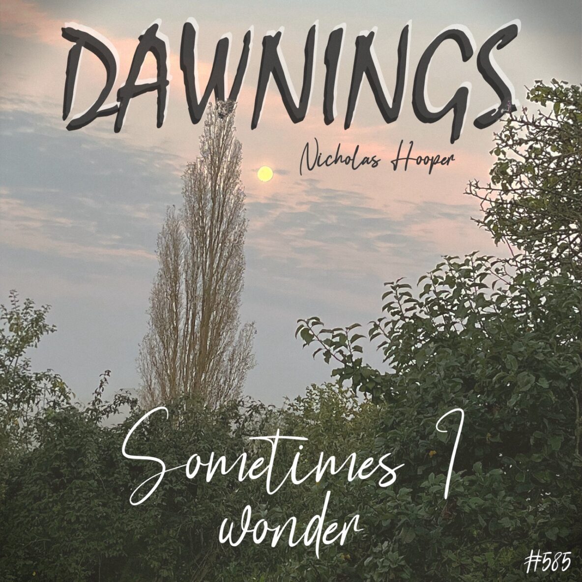 Sometimes I wonder