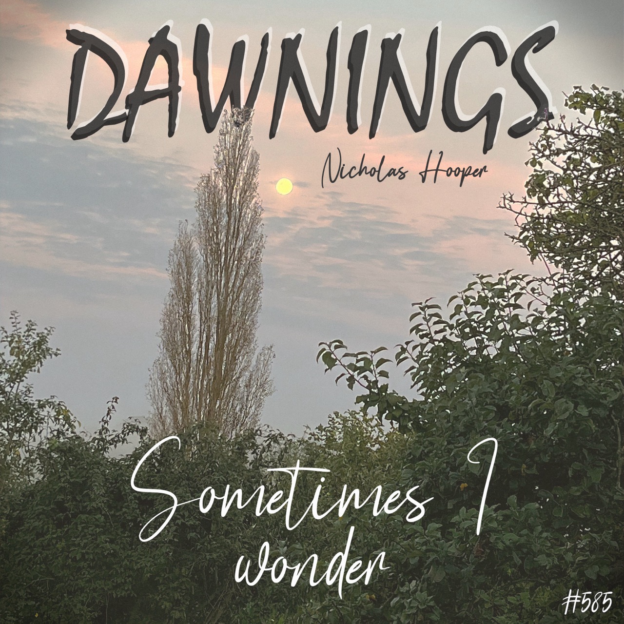 Featured image for “Sometimes I wonder”