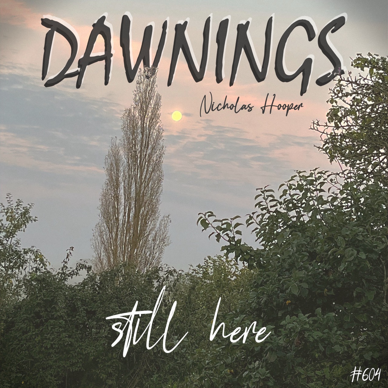 Featured image for “still here”