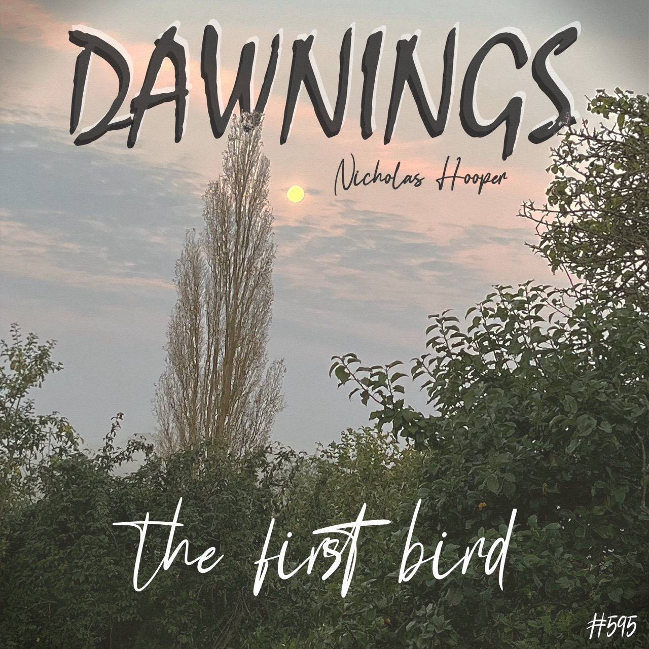 Featured image for “the first bird”