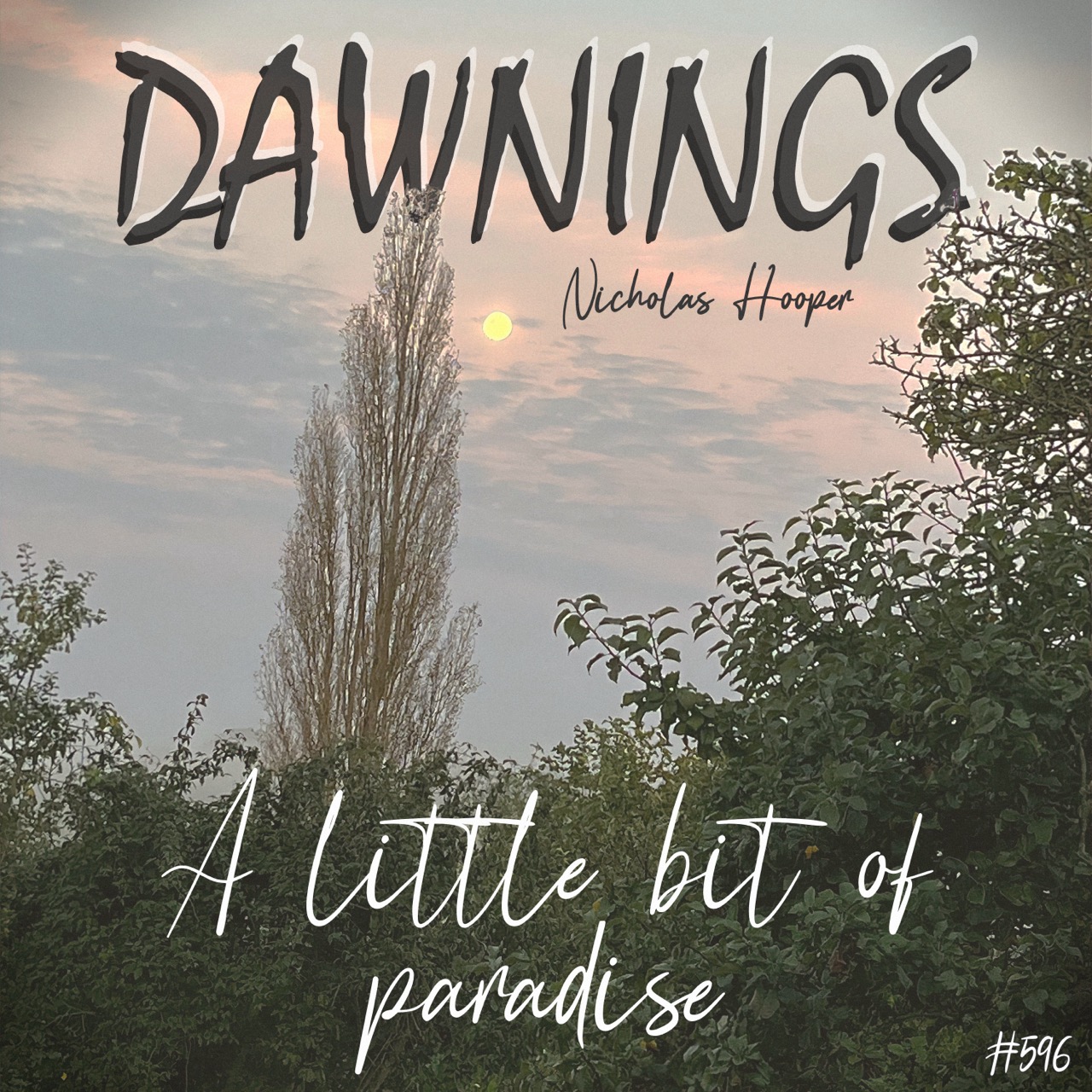 Featured image for “A little bit of paradise”