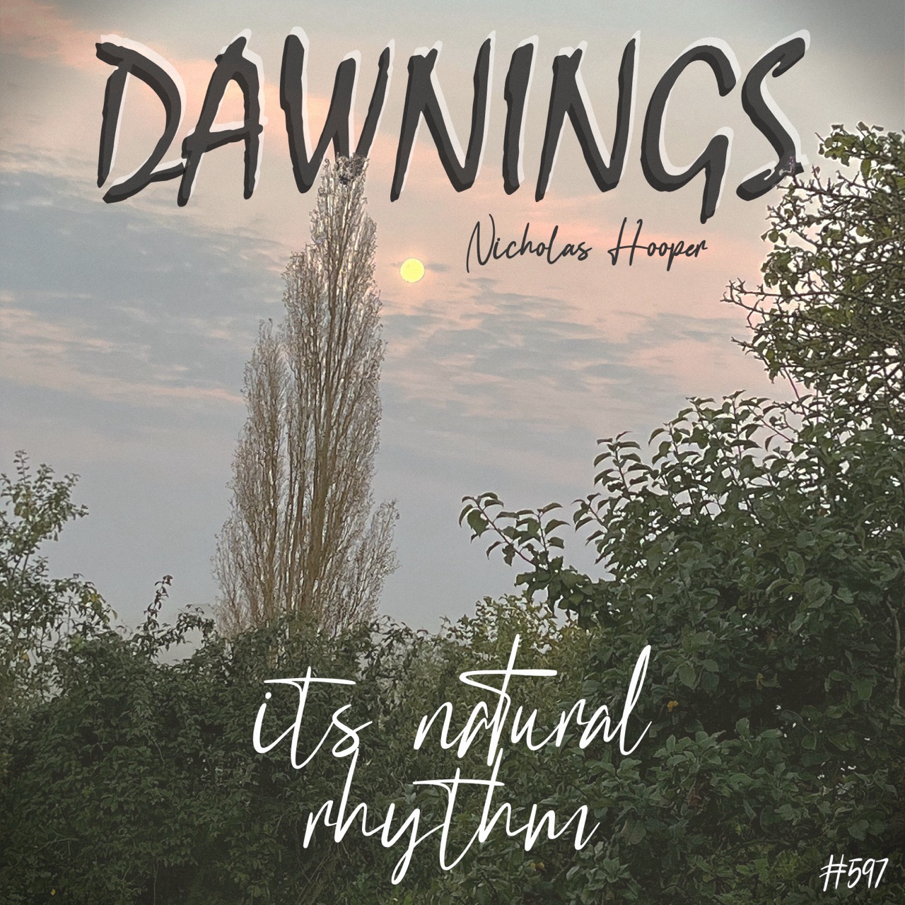 Featured image for “its natural rhythm”