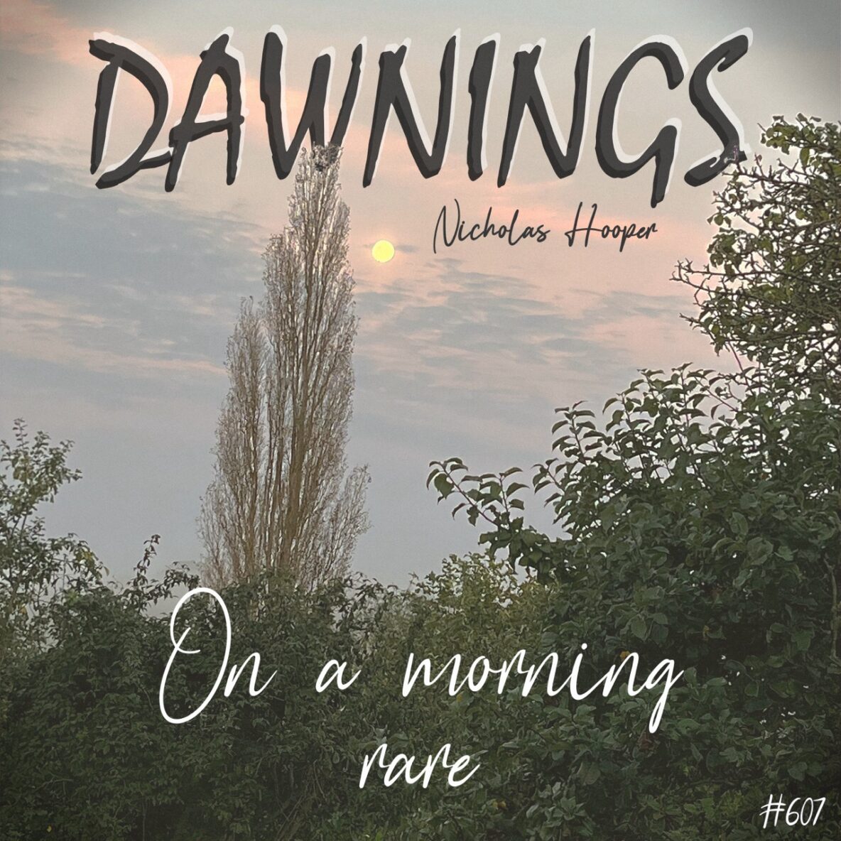 On a morning rare