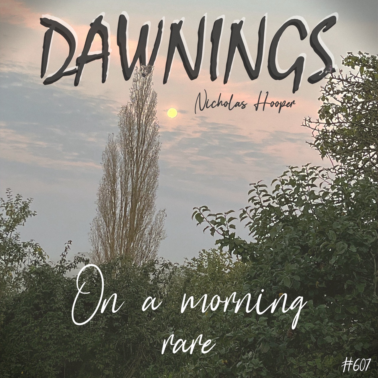 Featured image for “On a morning rare”