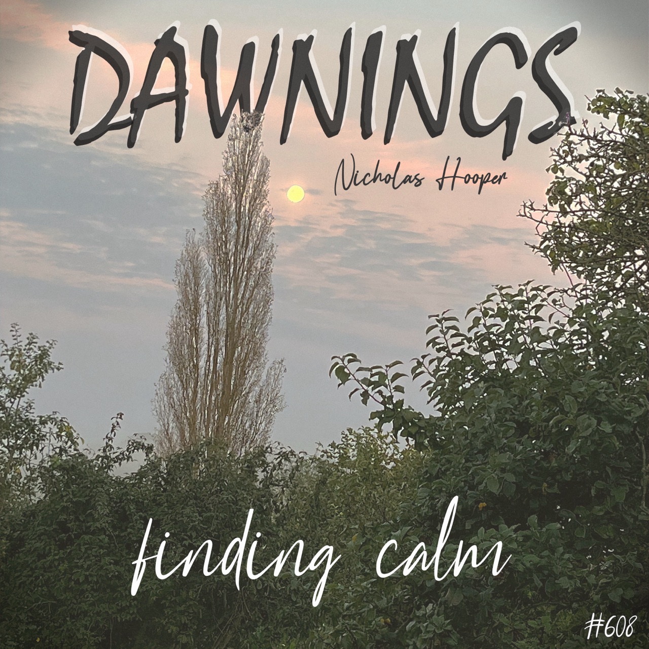 Featured image for “finding calm”
