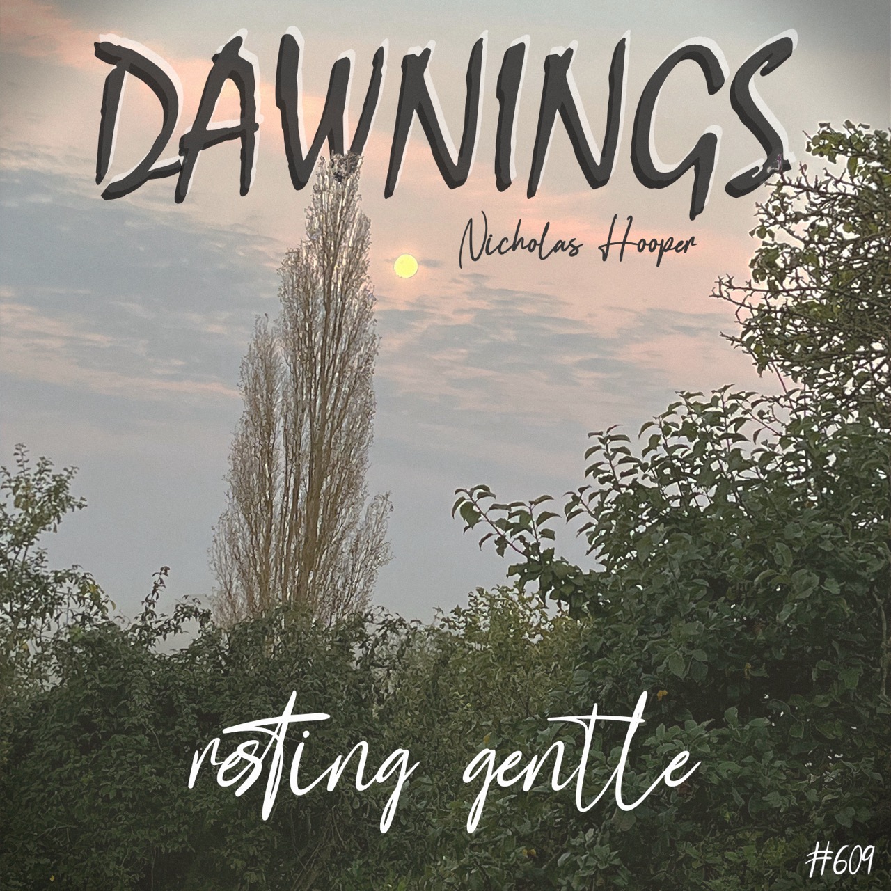 Featured image for “resting gentle”