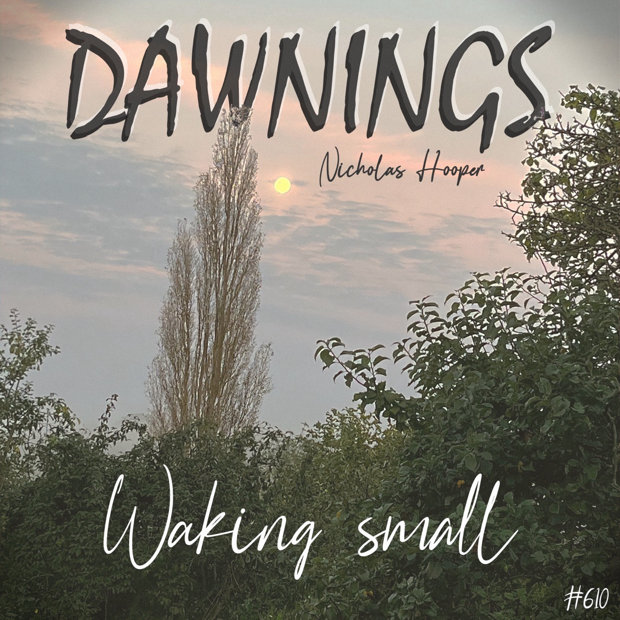 Featured image for “Waking small”