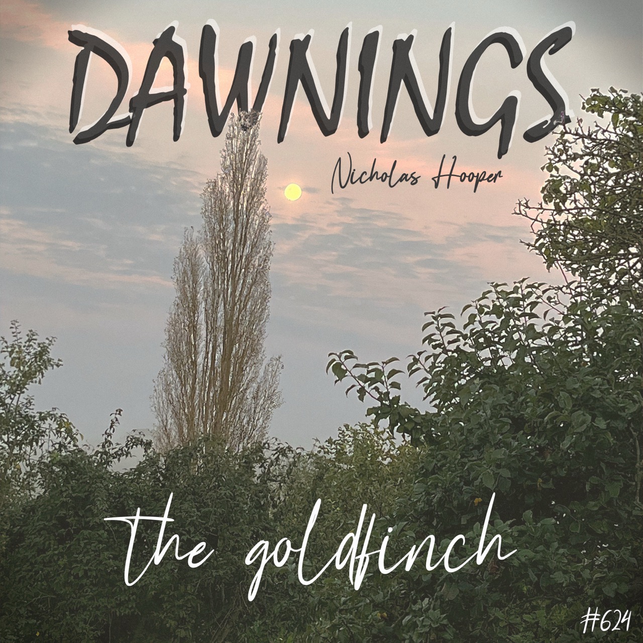 Featured image for “the goldfinch”