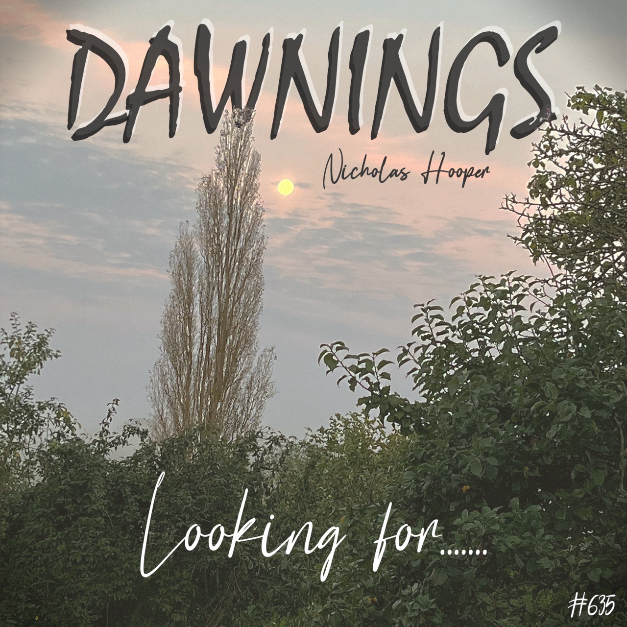 Featured image for “Looking for…….”