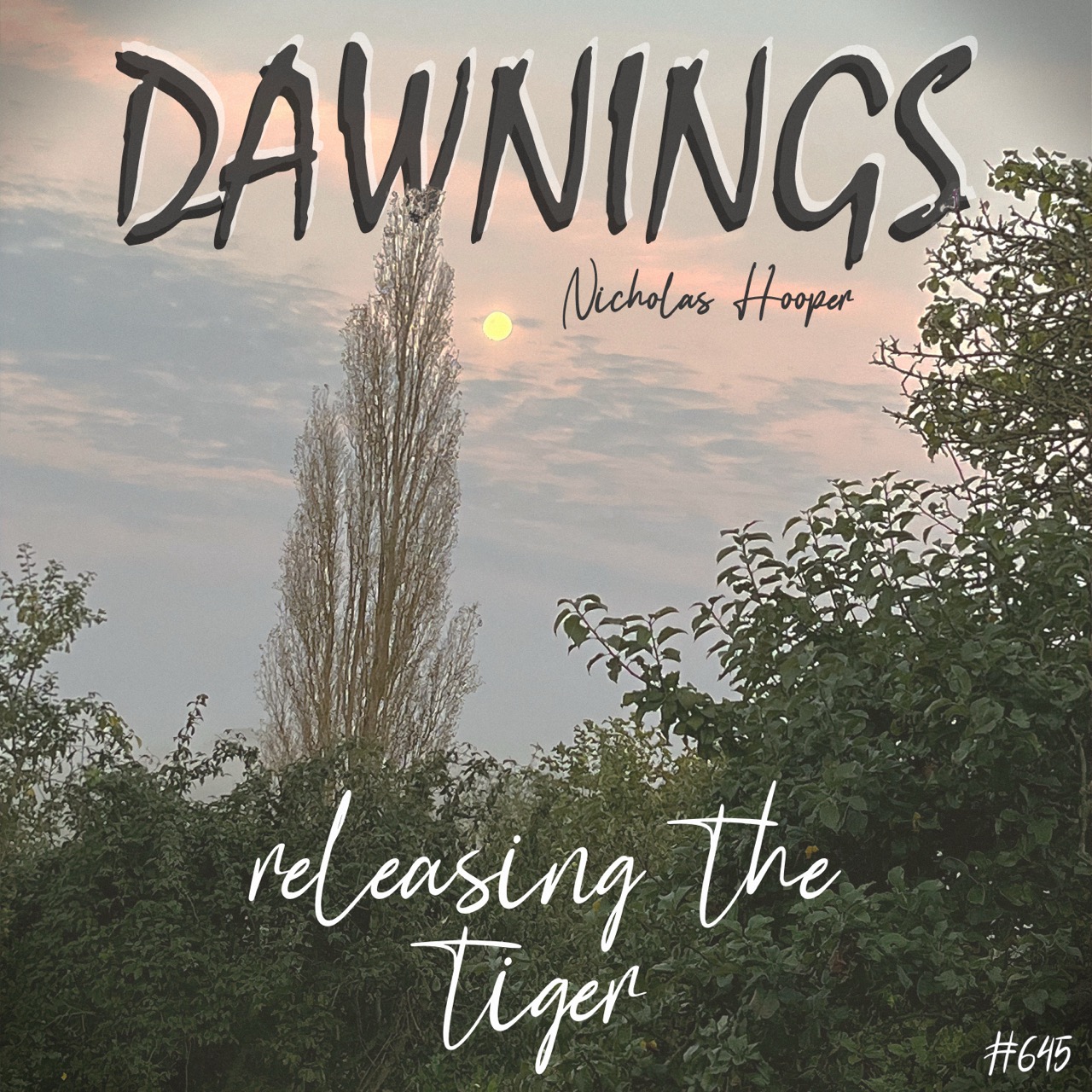 Featured image for “releasing the tiger”